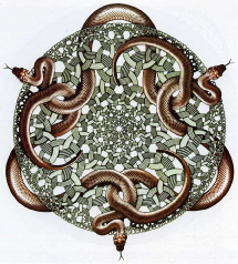 Xylogravure d'Escher Serpents