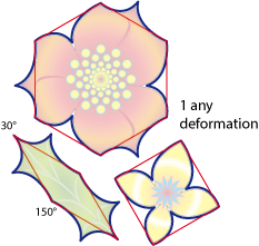 aperiodic flowers tessellation