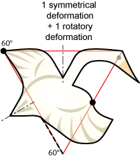 non-periodic goose tessellation