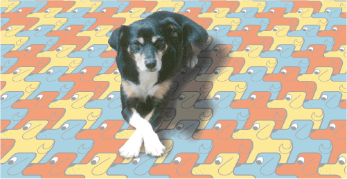lucky dog tessellation
