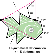 non-periodic fishes tessellation